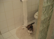 英雄联盟总决赛2025-当悬念被提前扼杀，欧冠的窒息博弈与辽宁队的非典型胜利