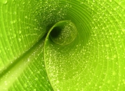 英雄联盟总决赛赛程-阿克单节20分统治攻防，美国男篮提前三节终结尼日利亚奥运悬念