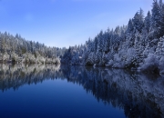 -打破十年魔咒！浓眉数据核爆之夜，上海掀翻十一冠王的背后