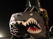 英雄联盟总决赛赛程-双线奏凯，马丁内利锐不可当，埃及铁骑正面碾碎澳洲防线