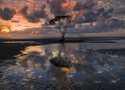 -铁血机器碾碎苏格兰悲情，德国尖刀刺破宿命—马竞用最残酷的方式写下终章