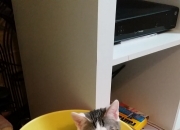 LOL赛事-秒针与时针，当卢卡库秒杀悬念，巴西与德国仍在世纪鏖战中