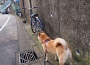 英雄联盟总决赛直播-团队巨兽vs孤胆诗篇，掘金制霸棋盘，欧文落下惊世劫材