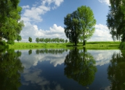 英雄联盟总决赛赛程-弗拉霍维奇关键一击，雷恩爆冷拿下马德里竞技