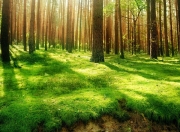 英雄联盟总决赛直播-当钻石海岸遇见加勒比阳光，安哥拉对阵哥斯达黎加，努涅斯点燃跨洲对话