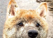 英雄联盟总决赛赛程-欧冠淘汰赛的南美风暴，特奥与乌拉圭双星联手主宰，米兰强势击溃拉齐奥