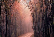 英雄联盟总决赛-键盘上的欧陆风云，一场被巴雷拉掌控的另类击溃