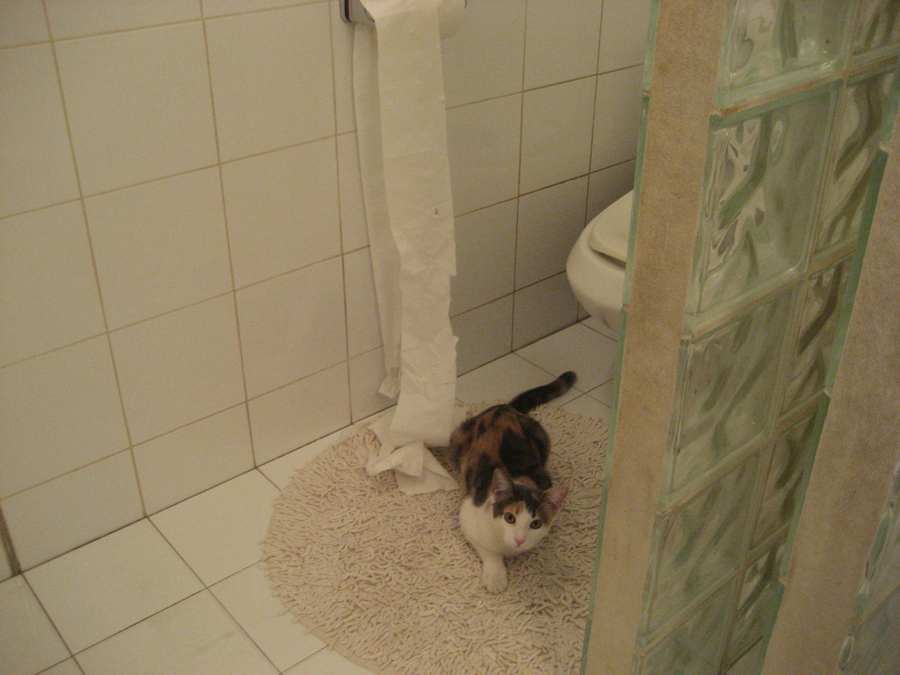 当悬念被提前扼杀,欧冠的窒息博弈与辽宁队的非典型胜利