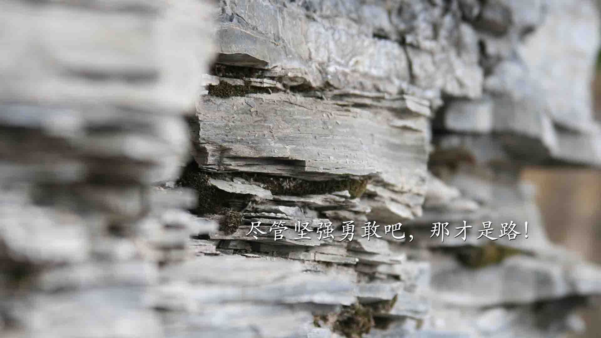 孔德,续航全场的战术锚点,罗马单节风暴击穿埃及防线