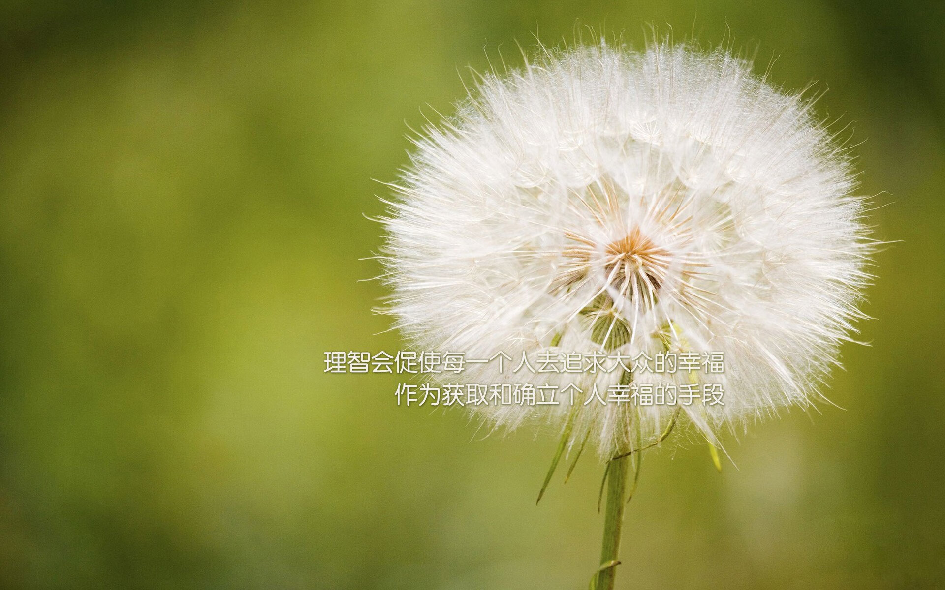 钢铁风暴吞没金球,特奥史诗级全程高能,绞碎对手灵魂核心