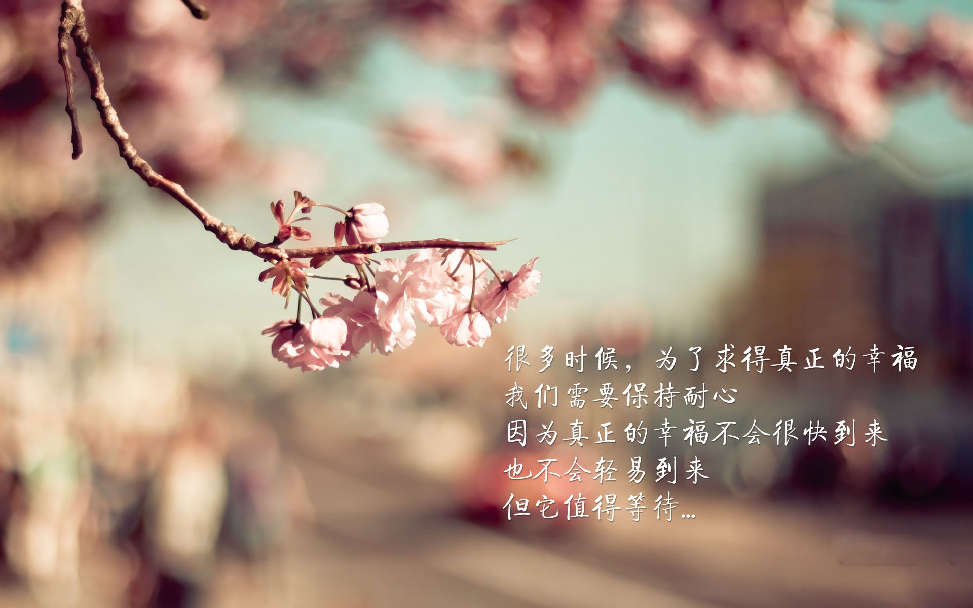 绿茵史诗,曼城与尼日利亚的季后赛抢七焦点战