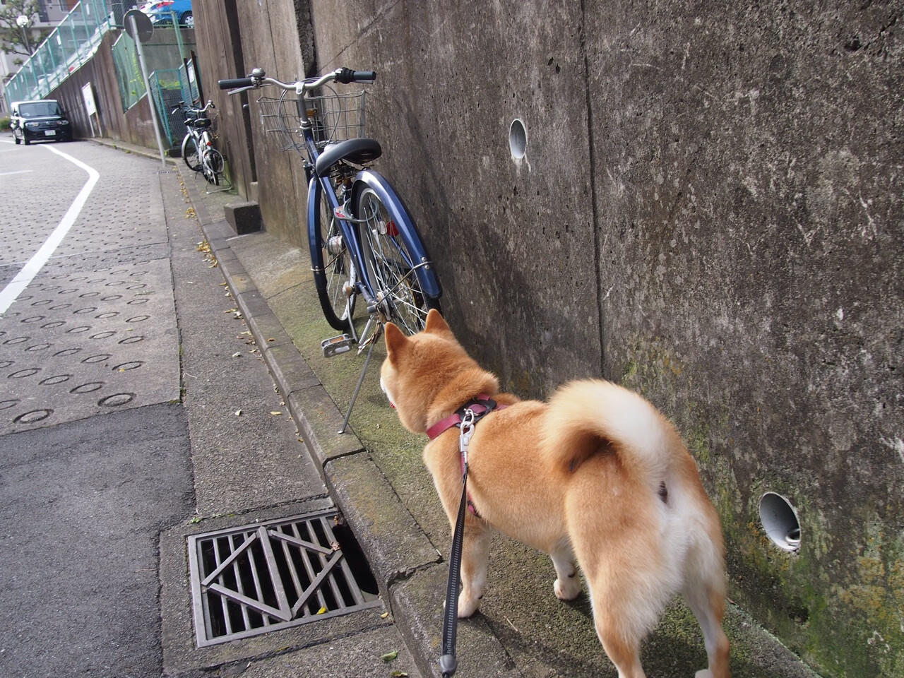 团队巨兽vs孤胆诗篇，掘金制霸棋盘，欧文落下惊世劫材