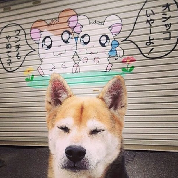 冰与火的足球美学，姆巴佩的手术刀与几内亚的火山