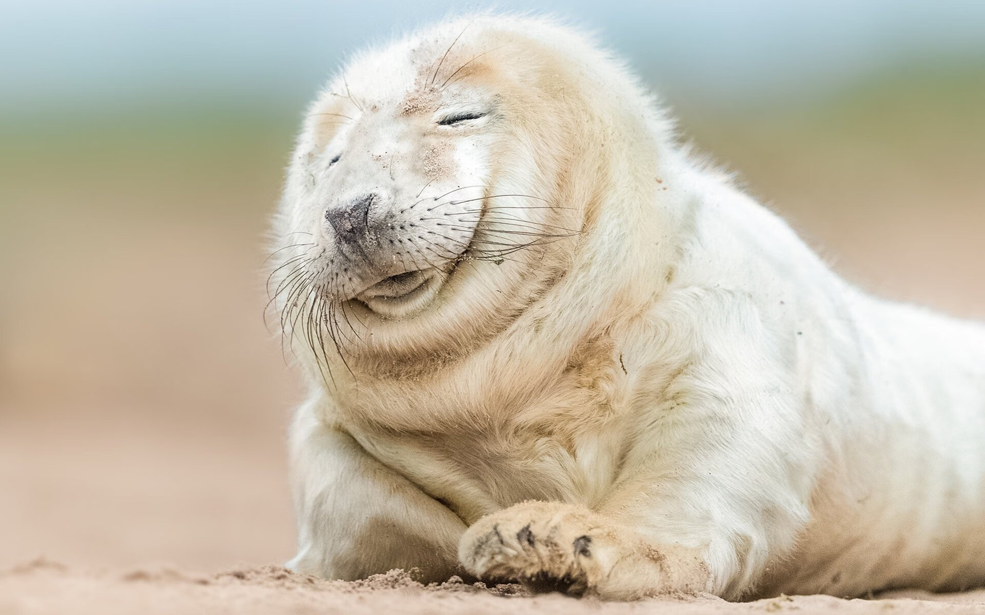 慈善之夜唯一对决,曼城众星遇威尔士传奇,努涅斯跨界惊艳四座