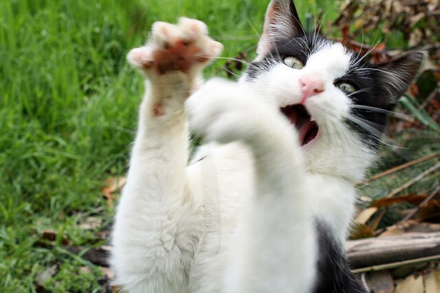 刃上十年，一夜封喉，阿圭罗在欧冠半决赛的永恒杀伤