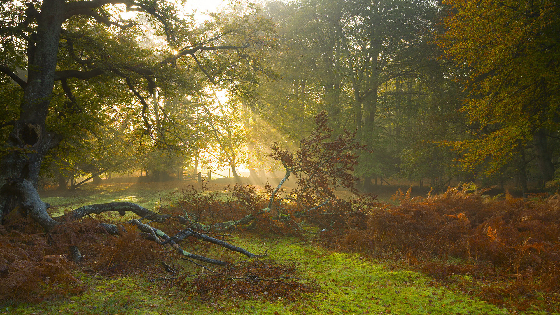恩比德大场面诛铁骑,当最后两分钟成为私人舞台